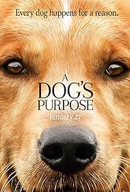 A Dog's Purpose (2017)