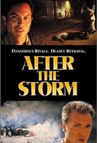 After the Storm (2001)