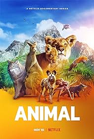 Animal (2021)