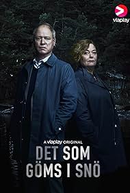 Det som göms i snö (2018)