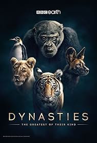 Dynasties (2018)