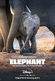 Elephant (2020)