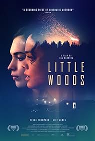 Little Woods (2019)