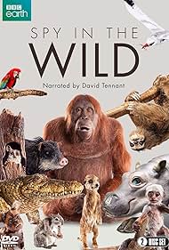 Spy in the Wild (2017)