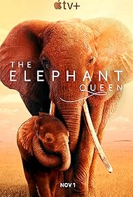 The Elephant Queen (2019)